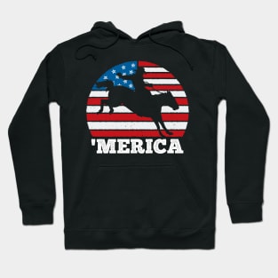 Merica Rodeo USA Vintage Sunset 4th of July America Hoodie